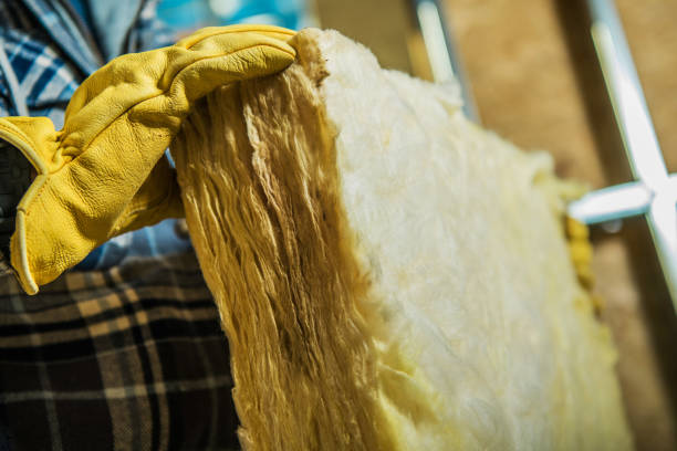 Insulation Repair Services in Highland Park, IL